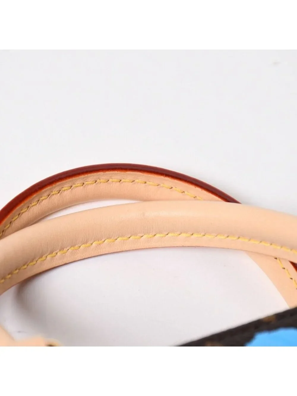Louis Vuitton brand louis